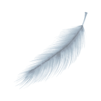 feather